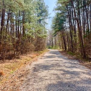 Photo #36 of SOLD property in Off Berrywood Lane , Whitakers , NC 147.0 acres