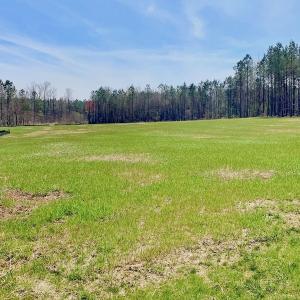 Photo #37 of SOLD property in Off Berrywood Lane , Whitakers , NC 147.0 acres