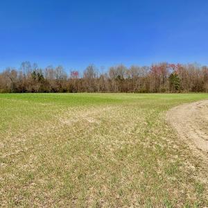 Photo #39 of SOLD property in Off Berrywood Lane , Whitakers , NC 147.0 acres