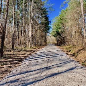 Photo #49 of SOLD property in Off Berrywood Lane , Whitakers , NC 147.0 acres