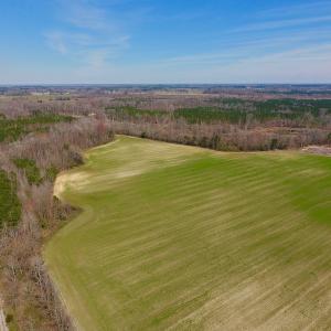 Photo #7 of SOLD property in Off Berrywood Lane , Whitakers , NC 147.0 acres