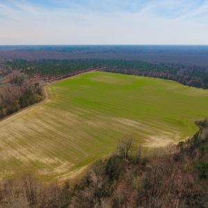 Photo #8 of SOLD property in Off Berrywood Lane , Whitakers , NC 147.0 acres
