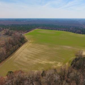 Photo #9 of SOLD property in Off Berrywood Lane , Whitakers , NC 147.0 acres