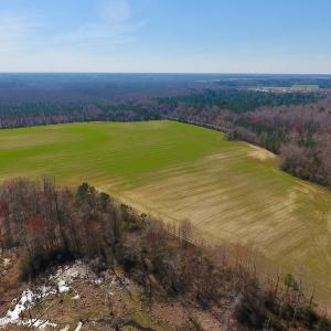 Photo #11 of SOLD property in Off Berrywood Lane , Whitakers , NC 147.0 acres