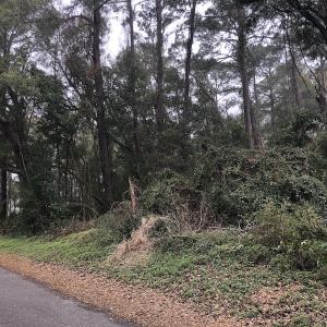 Photo #9 of Twin Oak Lane, North Myrtle Beach, SC 0.8 acres