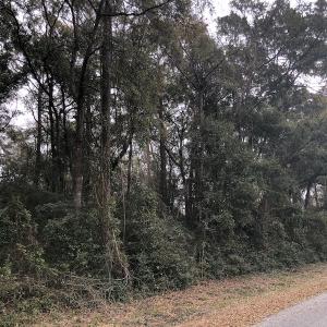 Photo #10 of Twin Oak Lane, North Myrtle Beach, SC 0.8 acres