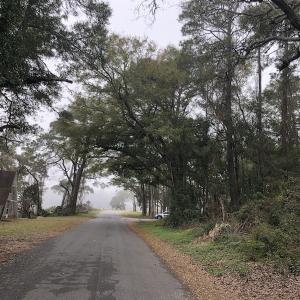 Photo #12 of Twin Oak Lane, North Myrtle Beach, SC 0.8 acres