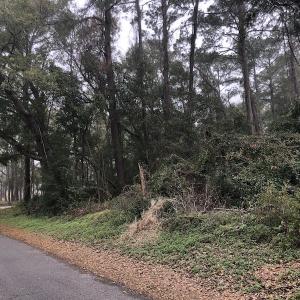 Photo #4 of Twin Oak Lane - Lot 2; Franklin Shores, North Myrtle Beach, SC 0.6 acres