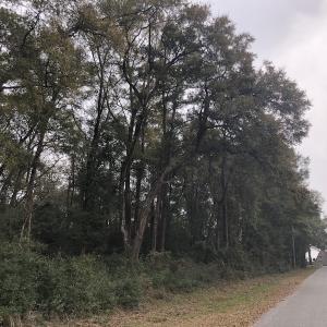 Photo #7 of Twin Oak Lane - Lot 2; Franklin Shores, North Myrtle Beach, SC 0.6 acres