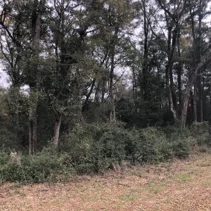 Photo #8 of Twin Oak Lane - Lot 2; Franklin Shores, North Myrtle Beach, SC 0.6 acres