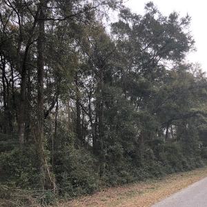 Photo #9 of Twin Oak Lane - Lot 2; Franklin Shores, North Myrtle Beach, SC 0.6 acres