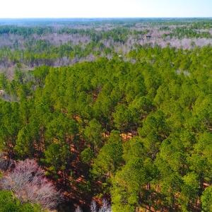 Photo #2 of SOLD property in Off Dragonfly Lane, Sanford, NC 10.1 acres