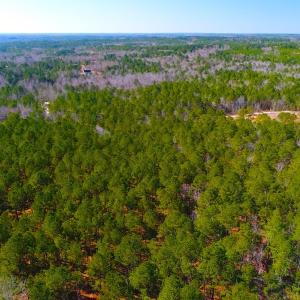 Photo #3 of SOLD property in Off Dragonfly Lane, Sanford, NC 10.1 acres