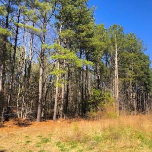 Photo #4 of SOLD property in Off Dragonfly Lane, Sanford, NC 10.1 acres