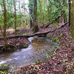 Photo #12 of SOLD property in Off Dragonfly Lane, Sanford, NC 10.1 acres