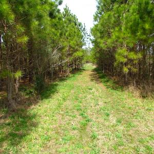 Photo #5 of SOLD property in Off Jackson Rd, Suffolk, VA 18.0 acres