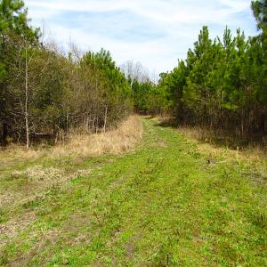 Photo #11 of SOLD property in Off Jackson Rd, Suffolk, VA 18.0 acres