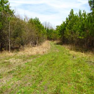 Photo #11 of SOLD property in Off Jackson Rd, Suffolk, VA 18.0 acres