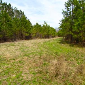 Photo #13 of SOLD property in Off Jackson Rd, Suffolk, VA 18.0 acres