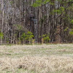 Photo #16 of SOLD property in Off Jackson Rd, Suffolk, VA 18.0 acres