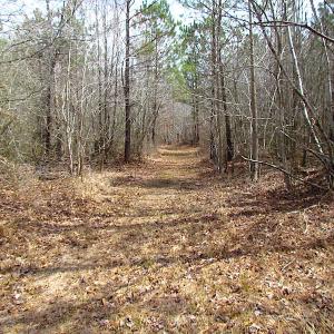 Photo #18 of SOLD property in Off Jackson Rd, Suffolk, VA 18.0 acres
