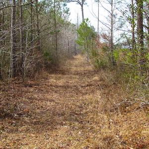 Photo #20 of SOLD property in Off Jackson Rd, Suffolk, VA 18.0 acres