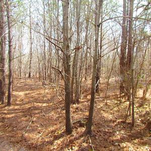 Photo #21 of SOLD property in Off Jackson Rd, Suffolk, VA 18.0 acres