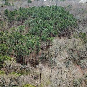 Photo #6 of Oak Tree Lane, Smithfield, VA 11.0 acres