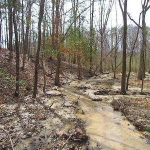 Photo #29 of Oak Tree Lane, Smithfield, VA 11.0 acres