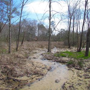Photo #32 of Oak Tree Lane, Smithfield, VA 11.0 acres