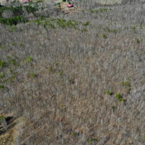 Photo #6 of SOLD property in 2245 Glenland Rd , Hurt, VA 65.0 acres