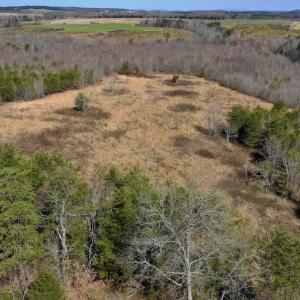 Photo #11 of SOLD property in 2245 Glenland Rd , Hurt, VA 65.0 acres