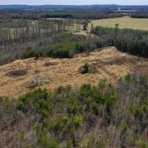 Photo #12 of SOLD property in 2245 Glenland Rd , Hurt, VA 65.0 acres
