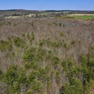Photo #13 of SOLD property in 2245 Glenland Rd , Hurt, VA 65.0 acres
