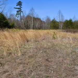 Photo #18 of SOLD property in 2245 Glenland Rd , Hurt, VA 65.0 acres