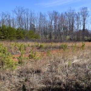 Photo #19 of SOLD property in 2245 Glenland Rd , Hurt, VA 65.0 acres