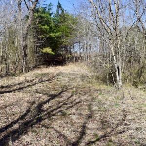 Photo #20 of SOLD property in 2245 Glenland Rd , Hurt, VA 65.0 acres
