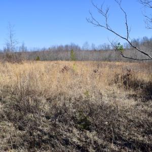 Photo #22 of SOLD property in 2245 Glenland Rd , Hurt, VA 65.0 acres