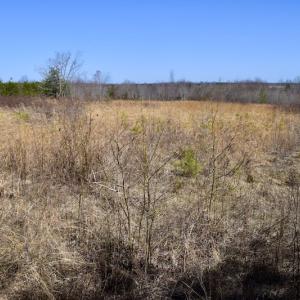 Photo #23 of SOLD property in 2245 Glenland Rd , Hurt, VA 65.0 acres