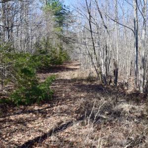 Photo #24 of SOLD property in 2245 Glenland Rd , Hurt, VA 65.0 acres