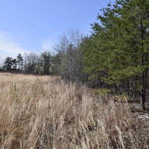 Photo #25 of SOLD property in 2245 Glenland Rd , Hurt, VA 65.0 acres