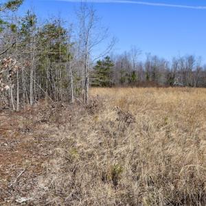 Photo #26 of SOLD property in 2245 Glenland Rd , Hurt, VA 65.0 acres
