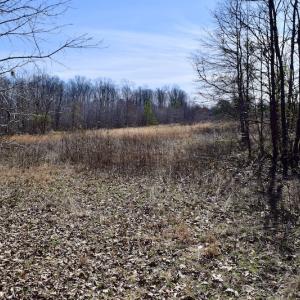 Photo #27 of SOLD property in 2245 Glenland Rd , Hurt, VA 65.0 acres