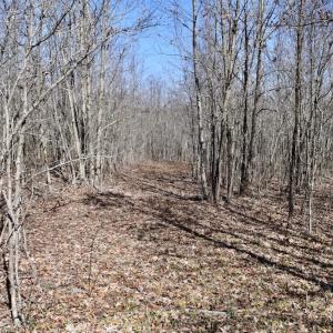 Photo #28 of SOLD property in 2245 Glenland Rd , Hurt, VA 65.0 acres