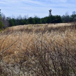 Photo #29 of SOLD property in 2245 Glenland Rd , Hurt, VA 65.0 acres