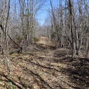 Photo #30 of SOLD property in 2245 Glenland Rd , Hurt, VA 65.0 acres