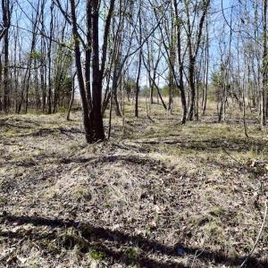 Photo #31 of SOLD property in 2245 Glenland Rd , Hurt, VA 65.0 acres
