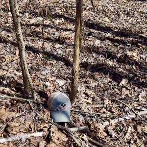 Photo #32 of SOLD property in 2245 Glenland Rd , Hurt, VA 65.0 acres