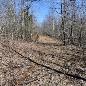 Photo #33 of SOLD property in 2245 Glenland Rd , Hurt, VA 65.0 acres