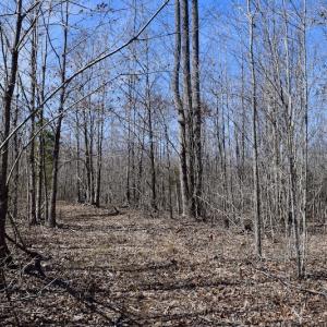 Photo #34 of SOLD property in 2245 Glenland Rd , Hurt, VA 65.0 acres